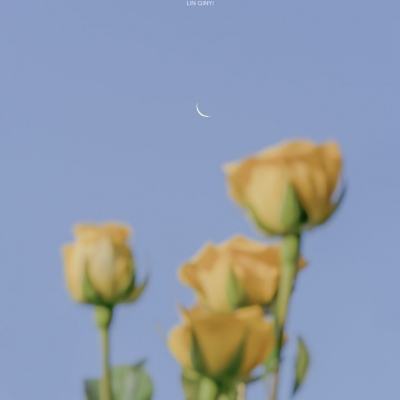 新宝体育官方登录入口