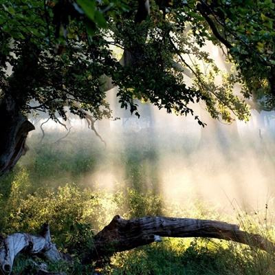 kaiyun平台app下载