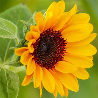 雷泽体育官方入口